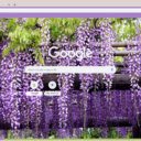Wisteria  screen for extension Chrome web store in OffiDocs Chromium