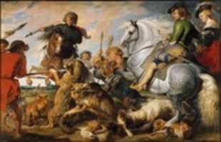 Free download Wolf and Fox Hunt free photo or picture to be edited with GIMP online image editor