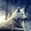 Wolf Wallpaper  screen for extension Chrome web store in OffiDocs Chromium