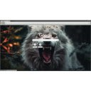 wolves in the wild  screen for extension Chrome web store in OffiDocs Chromium