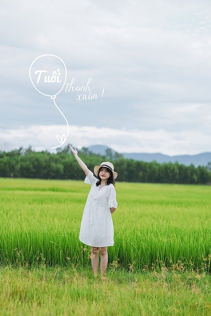 Tải xuống miễn phí hình ảnh người phụ nữ xinh đẹp Việt Nam xinh đẹp miễn phí để chỉnh sửa bằng trình chỉnh sửa hình ảnh trực tuyến miễn phí GIMP