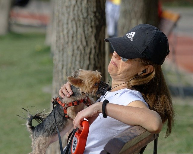 Free download woman dog park outdoors bench pet free picture to be edited with GIMP free online image editor
