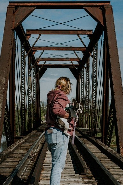 Free download woman explore dog bridge travel free picture to be edited with GIMP free online image editor