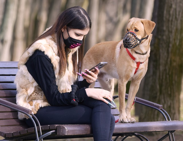 Free download woman face mask coronavirus free picture to be edited with GIMP free online image editor