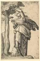 Бесплатно скачайте «Женщина в римском костюме, собирающая фрукты с дерева» бесплатное фото или изображение для редактирования с помощью онлайн-редактора изображений GIMP