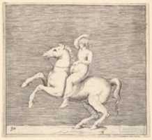 Free download Woman on Rearing Horse free photo or picture to be edited with GIMP online image editor