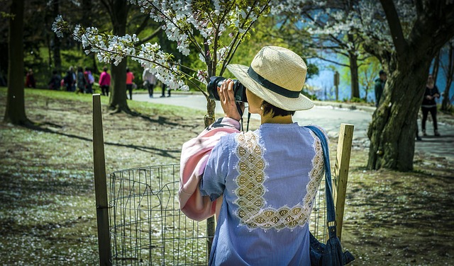 Бесплатно скачайте бесплатный шаблон фотографии Woman Park Blossoms для редактирования с помощью онлайн-редактора изображений GIMP