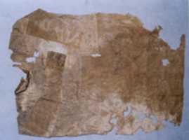 Free download Womans tunic with silk decoration at collar and one cuff free photo or picture to be edited with GIMP online image editor