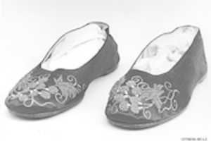 Free download Womans Wedding Shoe free photo or picture to be edited with GIMP online image editor