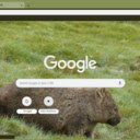 Wombat  screen for extension Chrome web store in OffiDocs Chromium