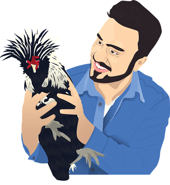 Muat turun percuma Wonderland Poultry Chickens ilustrasi percuma untuk diedit dengan editor imej dalam talian GIMP