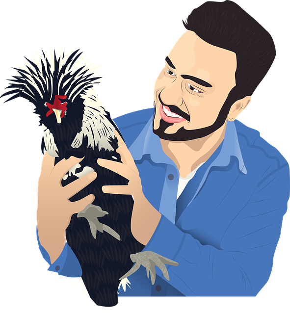 Free download Wonderland Poultry Chickens free illustration to be edited with GIMP online image editor