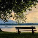 Wooden chair under the tree  screen for extension Chrome web store in OffiDocs Chromium