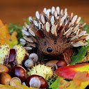 Wooden hedgehog  screen for extension Chrome web store in OffiDocs Chromium