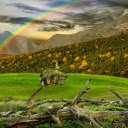 Wooden hut covered with green  screen for extension Chrome web store in OffiDocs Chromium