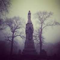 Free download Woodland Cemetery free photo or picture to be edited with GIMP online image editor