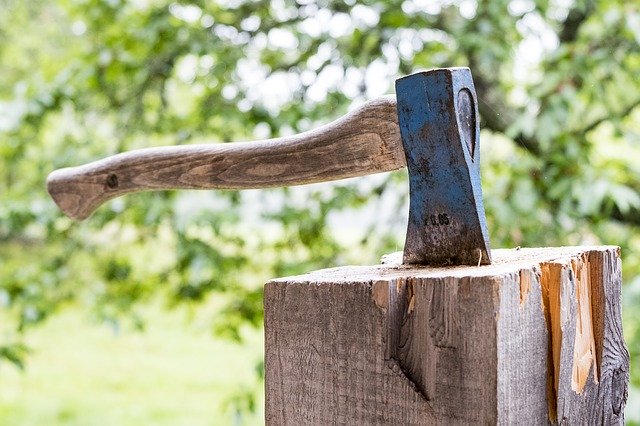 Free download wood nature tree wooden axe free picture to be edited with GIMP free online image editor