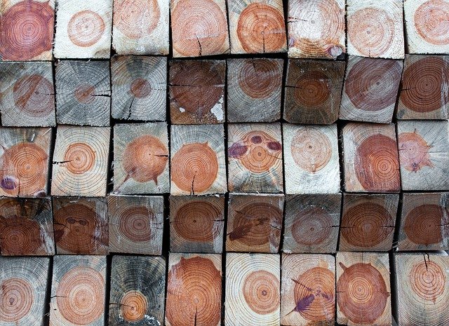 Free download wood tree rings texture template free picture to be edited with GIMP free online image editor