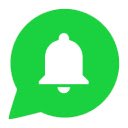 WooNotif CRM  screen for extension Chrome web store in OffiDocs Chromium