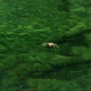 Working farmer wallpaper  screen for extension Chrome web store in OffiDocs Chromium