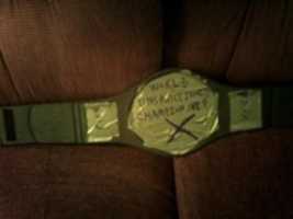 Free download World Unsanctioned Championship Belt free photo or picture to be edited with GIMP online image editor
