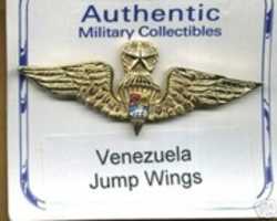 Free download World-Wide Parachute and Pilot Wings free photo or picture to be edited with GIMP online image editor