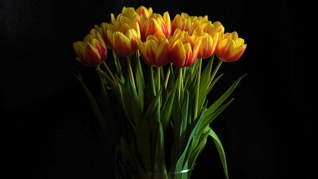 Kostenloser Download Geburtsdatum Blumenstrauß Kostenloses Bild, das mit dem kostenlosen Online-Bildeditor GIMP bearbeitet werden kann
