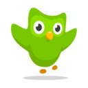 Écran Duolingo Binge pour l'extension de la boutique en ligne Chrome dans OffiDocs Chromium