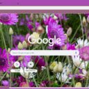 Xeranthemum  screen for extension Chrome web store in OffiDocs Chromium