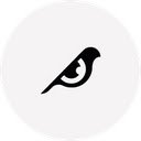 X scope  screen for extension Chrome web store in OffiDocs Chromium
