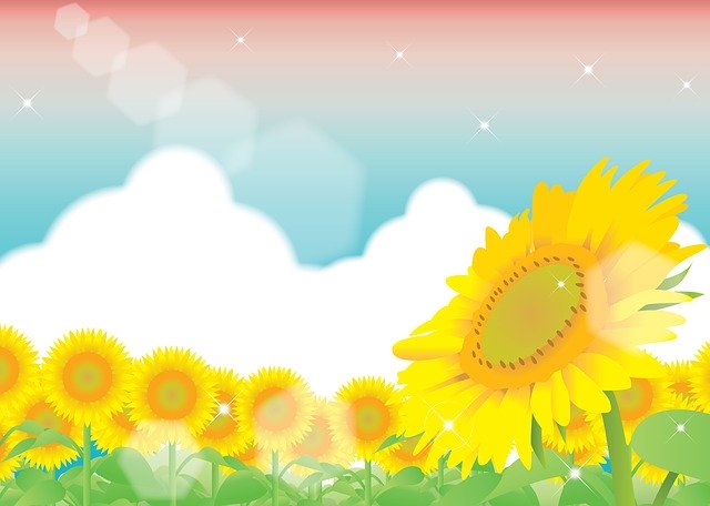 Libreng download Sunflower Field Background libreng ilustrasyon na ie-edit gamit ang GIMP online image editor