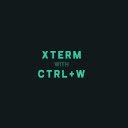 xterm ctrl w capture  screen for extension Chrome web store in OffiDocs Chromium