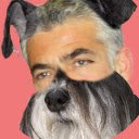 Yair Lapid Stop Barking  screen for extension Chrome web store in OffiDocs Chromium