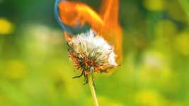 Free download Yardwork Backyard Landscaping -  free video to be edited with OpenShot online video editor