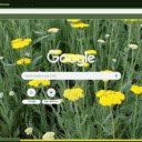 Yarrow Moonshine  screen for extension Chrome web store in OffiDocs Chromium