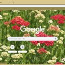 Yarrow Red  screen for extension Chrome web store in OffiDocs Chromium