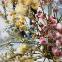 Yellow and Pink Flowers on Tree Branch  screen for extension Chrome web store in OffiDocs Chromium