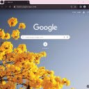 Yellow apricot flower Browser Theme  screen for extension Chrome web store in OffiDocs Chromium