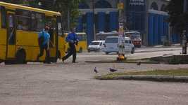Free download Yellow Bus Stop -  free video to be edited with OpenShot online video editor