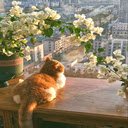Yellow cat on the balcony wallpaper  screen for extension Chrome web store in OffiDocs Chromium
