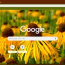 Yellow Coneflower  screen for extension Chrome web store in OffiDocs Chromium