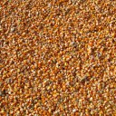 Yellow corn kernels  screen for extension Chrome web store in OffiDocs Chromium
