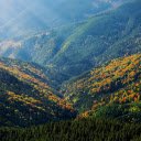 Yellow flowers on the mountain  screen for extension Chrome web store in OffiDocs Chromium