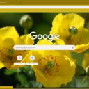 Yellow Horned Poppy  screen for extension Chrome web store in OffiDocs Chromium
