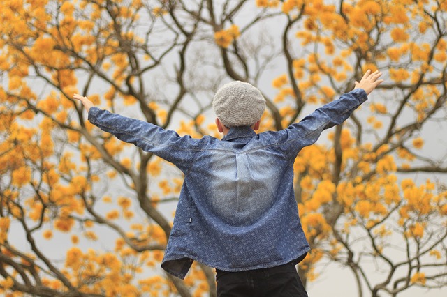 Free download yellow ipe winter brazil kid happy free picture to be edited with GIMP free online image editor