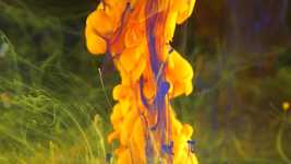 Free download Yellow Liquid Paint -  free video to be edited with OpenShot online video editor