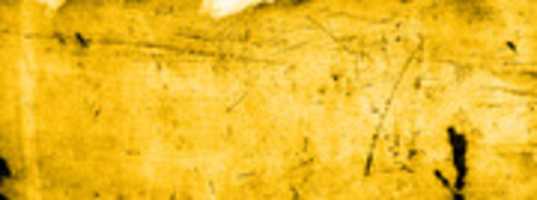 Free download Yellow Textured Facebook Profile Cover free photo or picture to be edited with GIMP online image editor