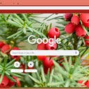 Yew  screen for extension Chrome web store in OffiDocs Chromium