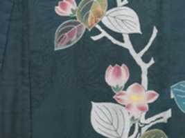 Free download Yogi Coverlet free photo or picture to be edited with GIMP online image editor