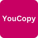 YouCopy  screen for extension Chrome web store in OffiDocs Chromium
